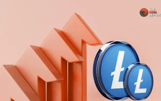 Canary Capital reicht S-1-Registrierung für ein Litecoin-ETF-Produkt ein