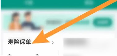中国人寿保险app怎么看自己的所有保单