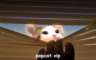 Popcat Meme 推出 POPCAT (ERC),進入加密貨幣世界