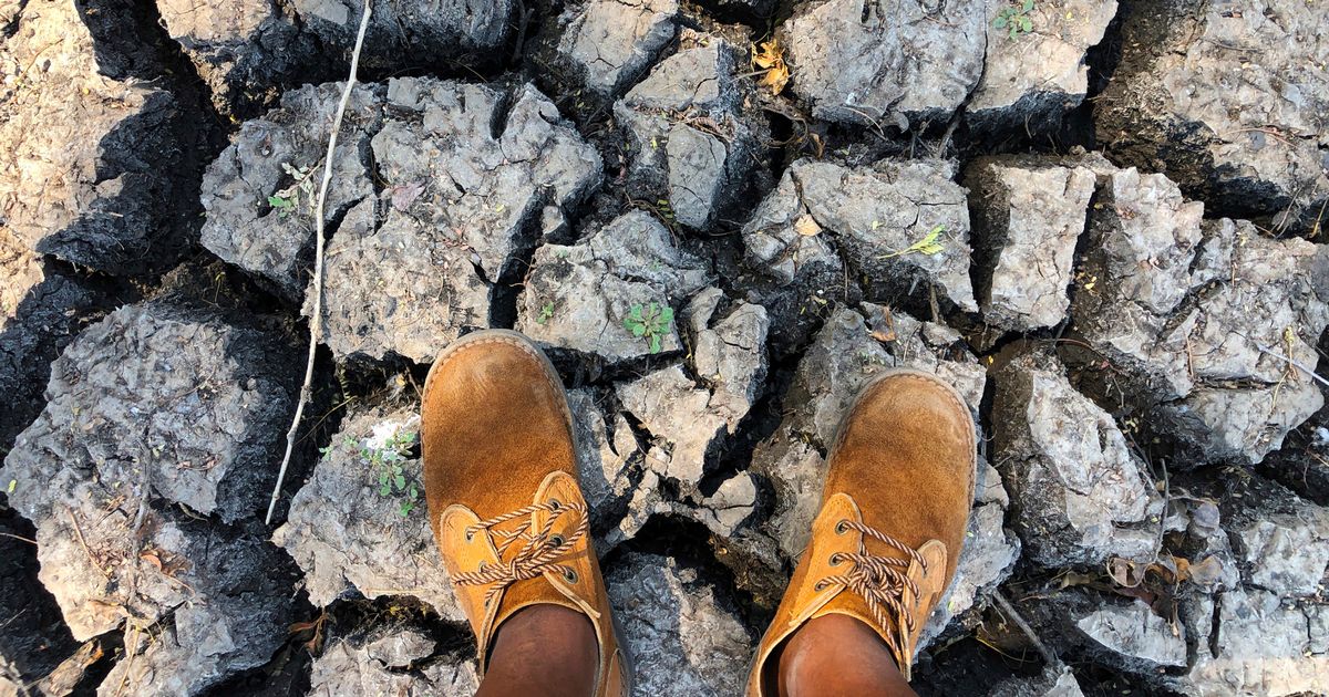 Afrika Selatan berdepan 'krisis makanan paling teruk' apabila berjuta-juta orang kelaparan akibat kemarau yang bersejarah