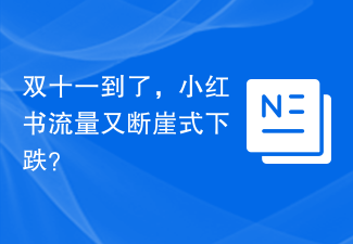 双十一到了，小红书流量又断崖式下跌？