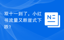 双十一到了，小红书流量又断崖式下跌？