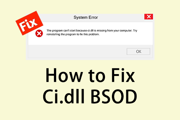 Windows에서 Ci.dll BSOD를 수정하는 방법: 단계별 가이드