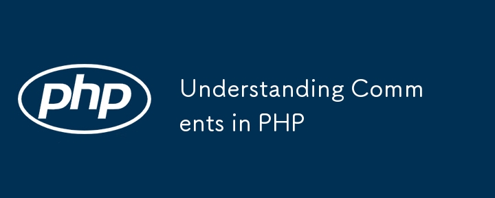 理解 PHP 中的註釋