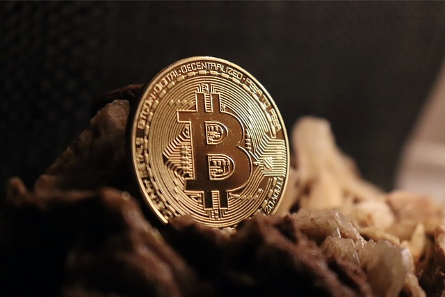 Tapak Perjudian Bitcoin Teratas Kedudukan & Disemak Oleh Pakar