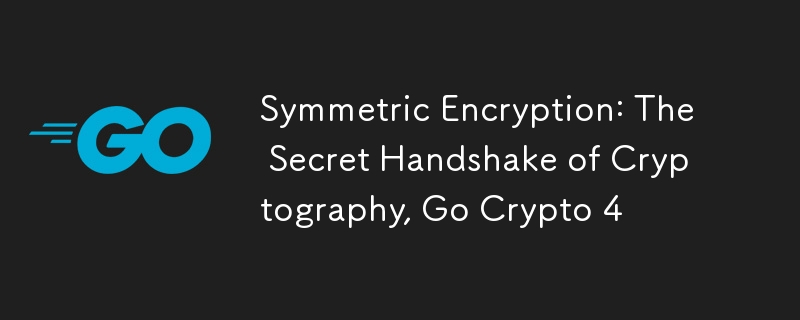 Chiffrement symétrique : la poignée de main secrète de la cryptographie, Go Crypto 4