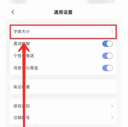 讯飞星火怎么设置字体大小？-讯飞星火设置字体大小的操作流程