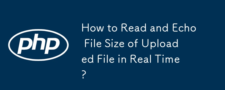 업로드된 파일의 파일 크기를 실시간으로 읽고 에코하는 방법은 무엇입니까?