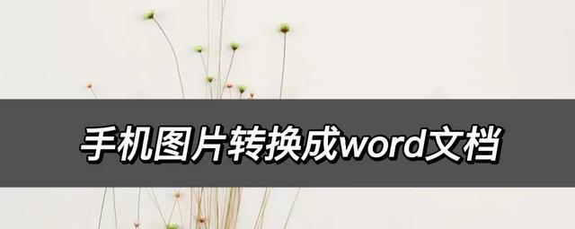 5种方法轻松查看Word文档(方便快捷的Word文档查看技巧)