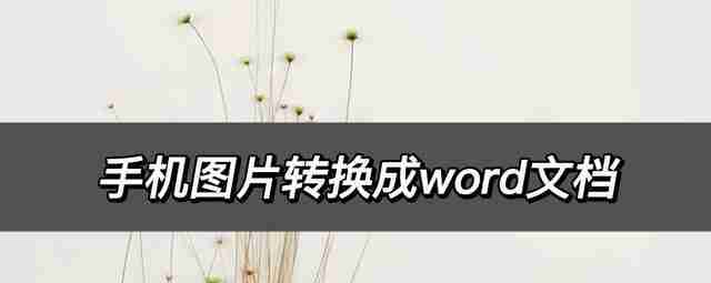 5种方法轻松查看word文档（方便快捷的word文档查看技巧）