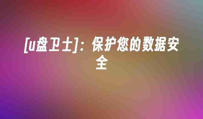 [u盘卫士]：保护您的数据安全