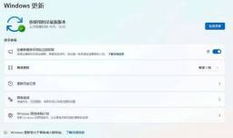 Win11 24H2跟新会导致设备蓝屏死机/指纹传感器失效等问题