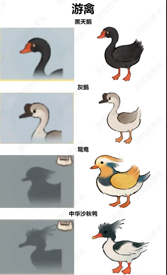 桃源深处有人家鸟类辨认有那些方法 桃源深处有人家鸟类辨认技巧图解