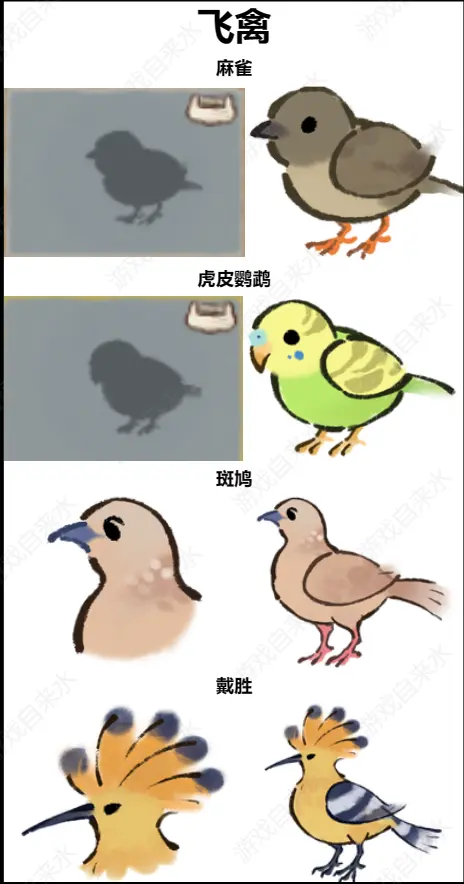 桃源深处有人家鸟类辨认有那些方法 桃源深处有人家鸟类辨认技巧图解
