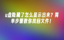 u盘隐藏了怎么显示出来？简单步骤教你找回文件！