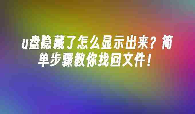 u盘隐藏了怎么显示出来？简单步骤教你找回文件！