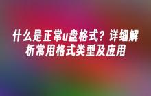 什么是正常u盘格式？详细解析常用格式类型及应用