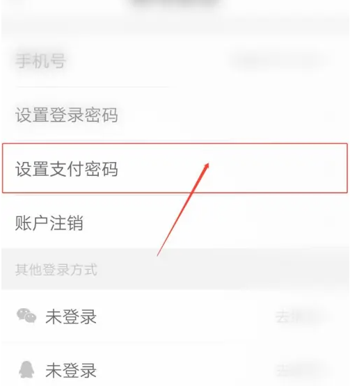 必要app在哪设置支付密码