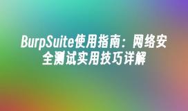 BurpSuite使用指南：网络安全测试实用技巧详解