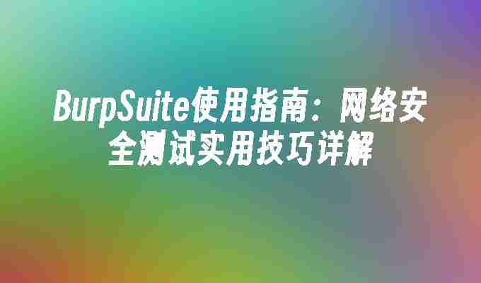 BurpSuite使用指南：网络安全测试实用技巧详解
