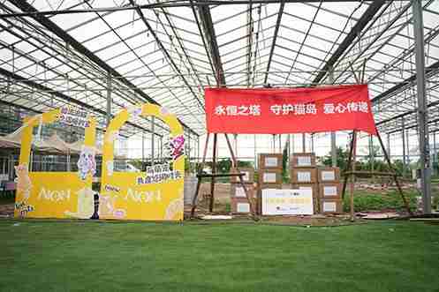《永恒之塔》携手玩家登陆“上海猫岛”参与公益项目关爱社区流浪猫