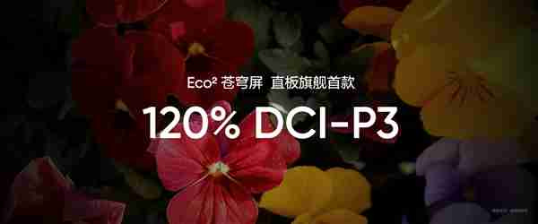真我GT7 Pro首发！真我Eco2苍穹屏发布：万元内最好的手机屏幕