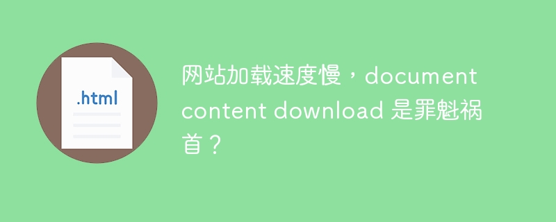 网站加载速度慢,document content download 是罪魁祸首?