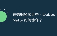 在微服务项目中，Dubbo 和 Netty 如何协作？