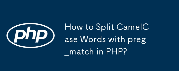 PHP で preg_match を使用してキャメルケースの単語を分割するにはどうすればよいですか?