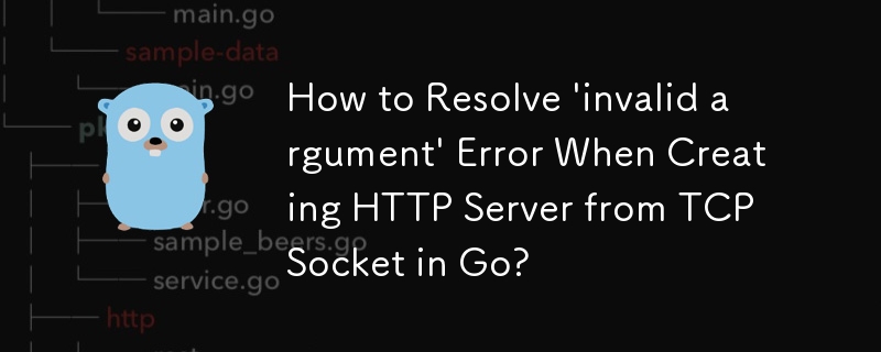 Wie behebe ich den Fehler „Ungültiges Argument“ beim Erstellen eines HTTP-Servers aus dem TCP-Socket in Go?