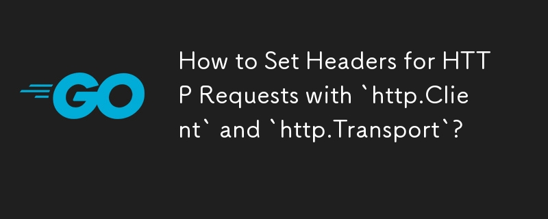 `http.Client` 및 `http.Transport`를 사용하여 HTTP 요청에 대한 헤더를 설정하는 방법은 무엇입니까?