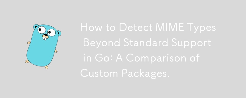 Comment détecter les types MIME au-delà de la prise en charge standard dans Go : une comparaison des packages personnalisés.