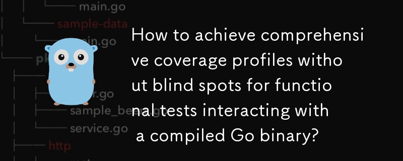 コンパイルされた Go バイナリと対話する機能テストで死角のない包括的なカバレッジ プロファイルを実現するにはどうすればよいでしょうか?