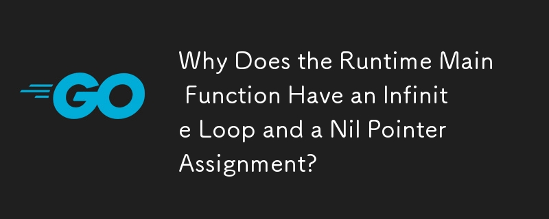 ランタイム Main 関数に無限ループと Nil ポインタ割り当てがあるのはなぜですか?
