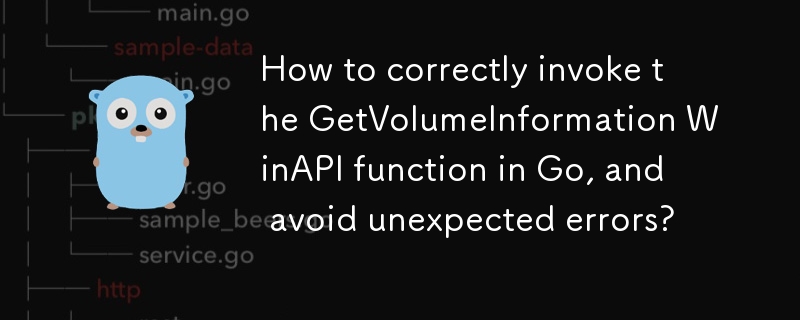 Go で GetVolumeInformation WinAPI 関数を正しく呼び出し、予期しないエラーを回避するにはどうすればよいですか?