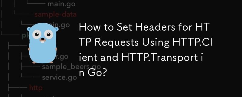 如何在 Go 中使用 HTTP.Client 和 HTTP.Transport 设置 HTTP 请求标头？