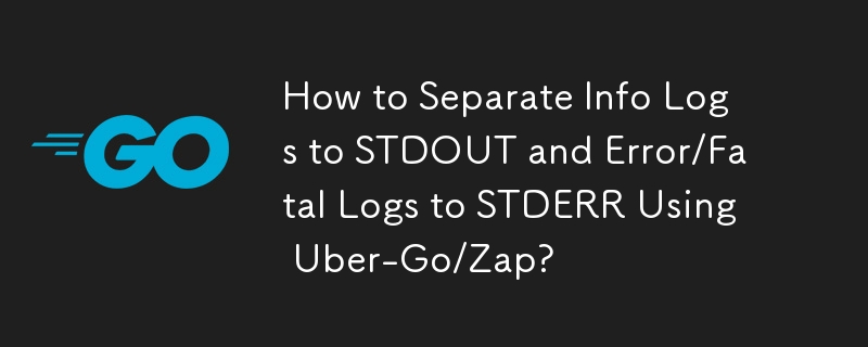 Uber-Go/Zap을 사용하여 정보 로그를 STDOUT으로 분리하고 오류/치명 로그를 STDERR로 분리하는 방법은 무엇입니까?