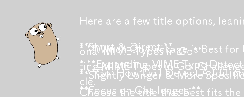 다음은 질문 형식에 따른 몇 가지 제목 옵션입니다.

**짧고 직접적인 내용:**

* **이동: 표준 라이브러리 이외의 추가 MIME 유형을 어떻게 감지합니까?** 
* **어떤 Go 패키지가 가장 적합합니까?