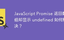 JavaScript Promise 返回数组却显示 undefined 如何解决？