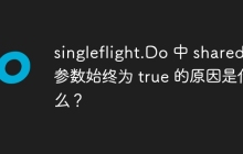 singleflight.Do 中 shared 参数始终为 true 的原因是什么？