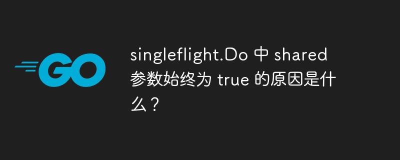 singleflight.do 中 shared 参数始终为 true 的原因是什么？