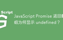 JavaScript Promise 返回数组为何显示 undefined？