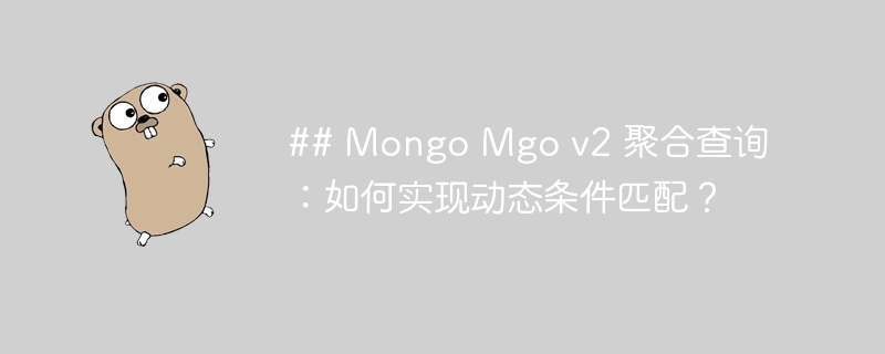 ## mongo mgo v2 聚合查询：如何实现动态条件匹配？
