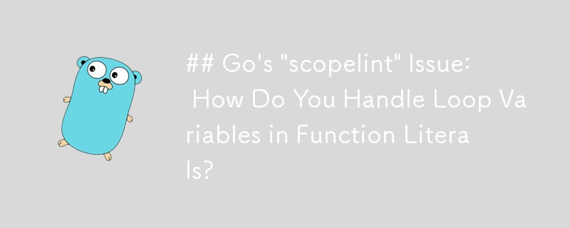 Go 的“scopelint”问题：如何处理函数文字中的循环变量？