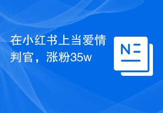 在小红书上当爱情判官，涨粉35w+