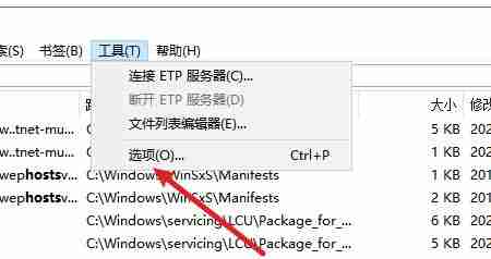 Everything如何修改矩形选区样式