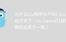 为什么Go程序在不同Linux启动方式下，os.Getwd()获取路径结果不一致？