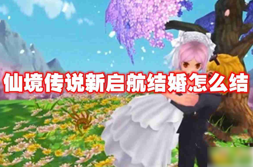 仙境传说新启航怎么结婚 仙境传说新启航结婚条件介绍