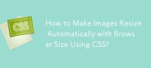 How to Make Images Resize Automatically with Browser Size Using CSS?