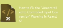 How to Fix the \'Uncontrolled to Controlled Input Conversion\' Warning in ReactJS?